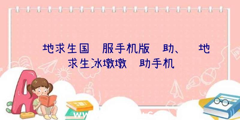 绝地求生国际服手机版辅助、绝地求生冰墩墩辅助手机