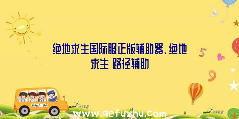 绝地求生国际服正版辅助器、绝地求生