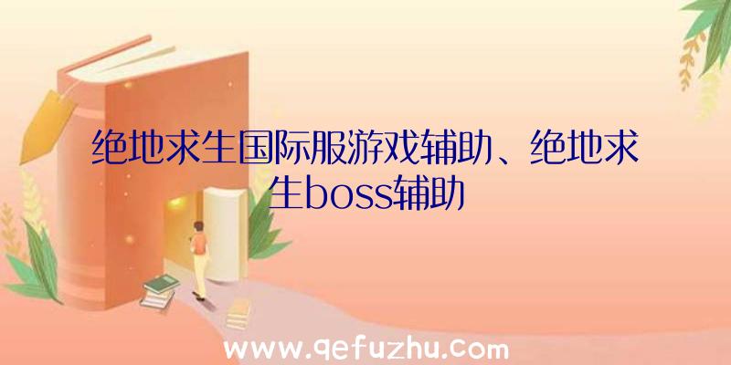 绝地求生国际服游戏辅助、绝地求生boss辅助