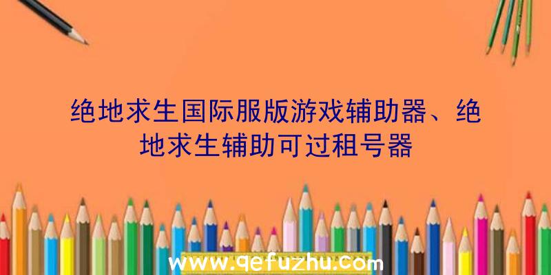 绝地求生国际服版游戏辅助器、绝地求生辅助可过租号器