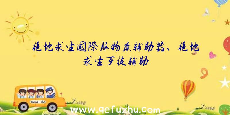 绝地求生国际服物质辅助器、绝地求生歹徒辅助