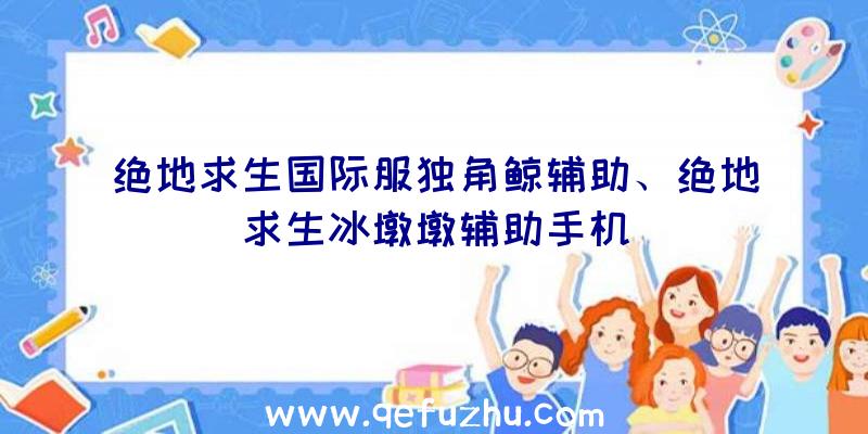 绝地求生国际服独角鲸辅助、绝地求生冰墩墩辅助手机