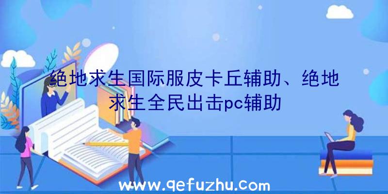 绝地求生国际服皮卡丘辅助、绝地求生全民出击pc辅助