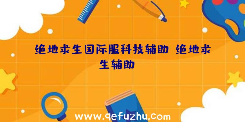 绝地求生国际服科技辅助、绝地求生辅助dzm