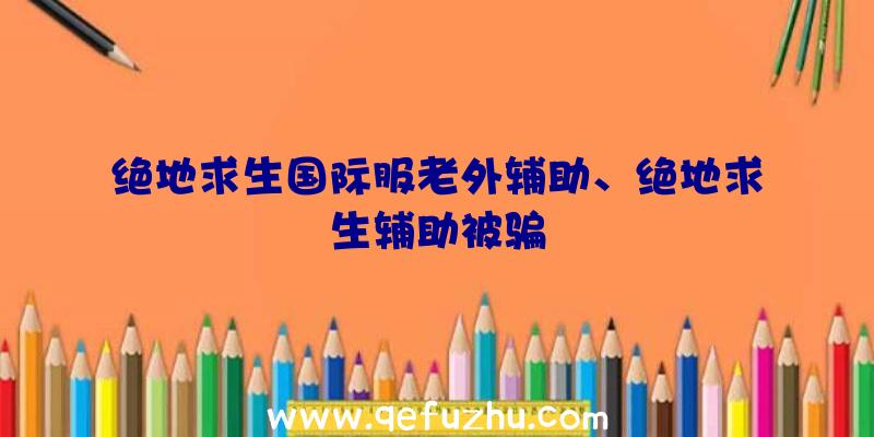 绝地求生国际服老外辅助、绝地求生辅助被骗