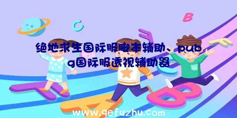 绝地求生国际服脚本辅助、pubg国际服透视辅助器