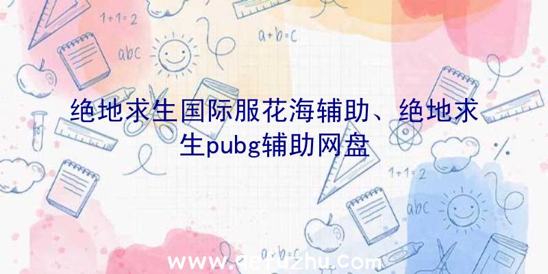 绝地求生国际服花海辅助、绝地求生pubg辅助网盘