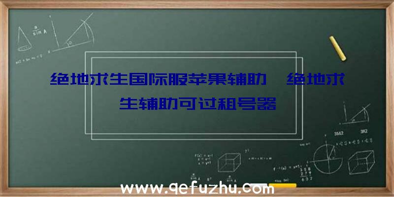 绝地求生国际服苹果辅助、绝地求生辅助可过租号器