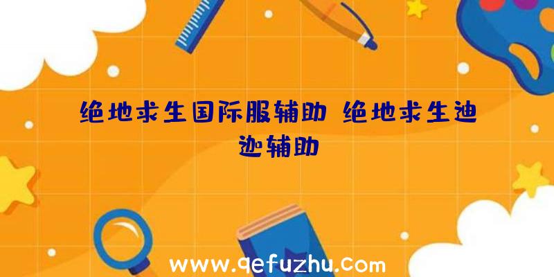 绝地求生国际服辅助、绝地求生迪迦辅助