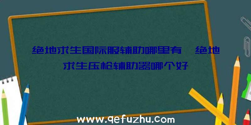 绝地求生国际服辅助哪里有、绝地求生压枪辅助器哪个好