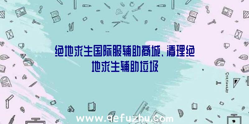 绝地求生国际服辅助商城、清理绝地求生辅助垃圾