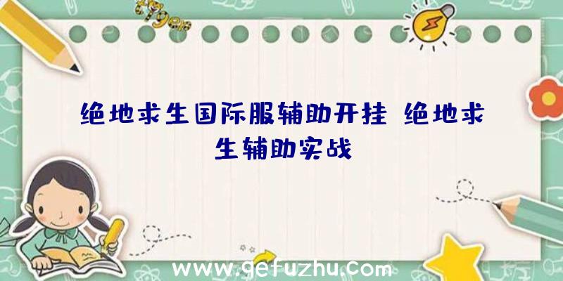 绝地求生国际服辅助开挂、绝地求生辅助实战