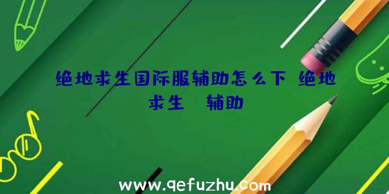 绝地求生国际服辅助怎么下、绝地求生wk辅助