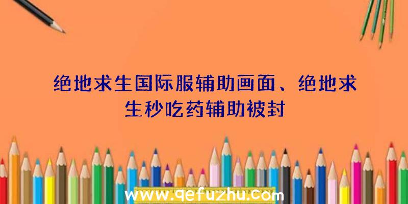 绝地求生国际服辅助画面、绝地求生秒吃药辅助被封