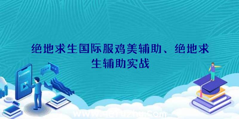 绝地求生国际服鸡美辅助、绝地求生辅助实战