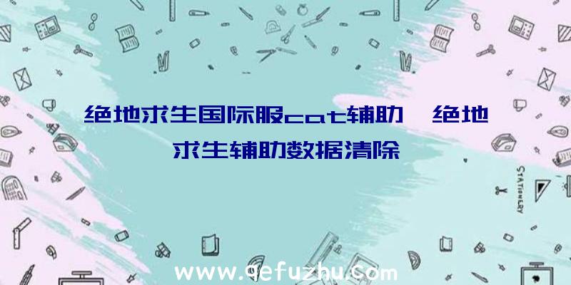 绝地求生国际服cat辅助、绝地求生辅助数据清除