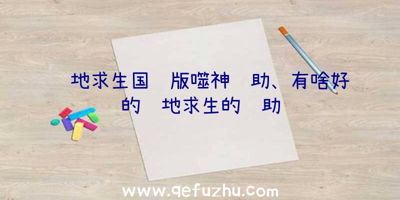 绝地求生国际版噬神辅助、有啥好的绝地求生的辅助