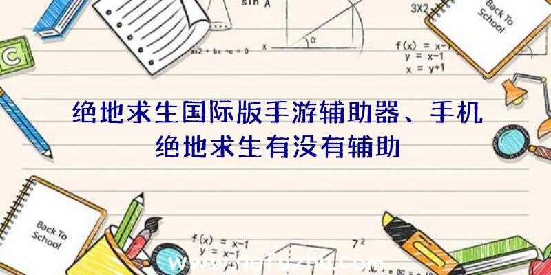 绝地求生国际版手游辅助器、手机绝地求生有没有辅助