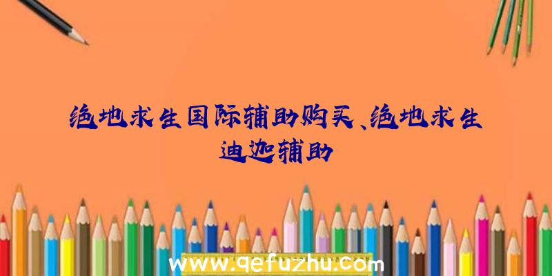 绝地求生国际辅助购买、绝地求生迪迦辅助