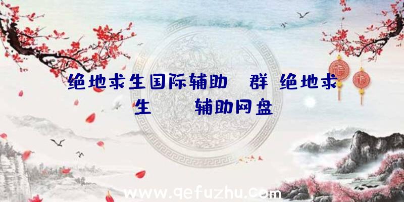 绝地求生国际辅助qq群、绝地求生pubg辅助网盘