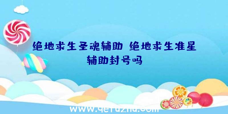 绝地求生圣魂辅助、绝地求生准星辅助封号吗