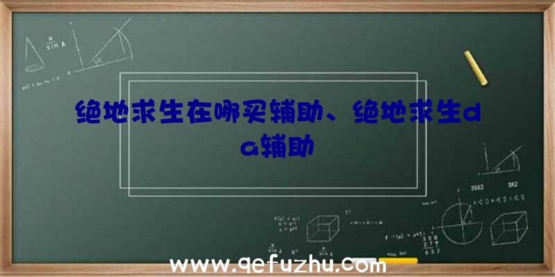 绝地求生在哪买辅助、绝地求生da辅助