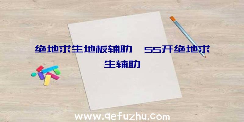 绝地求生地板辅助、55开绝地求生辅助