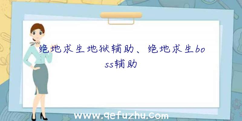 绝地求生地狱辅助、绝地求生boss辅助