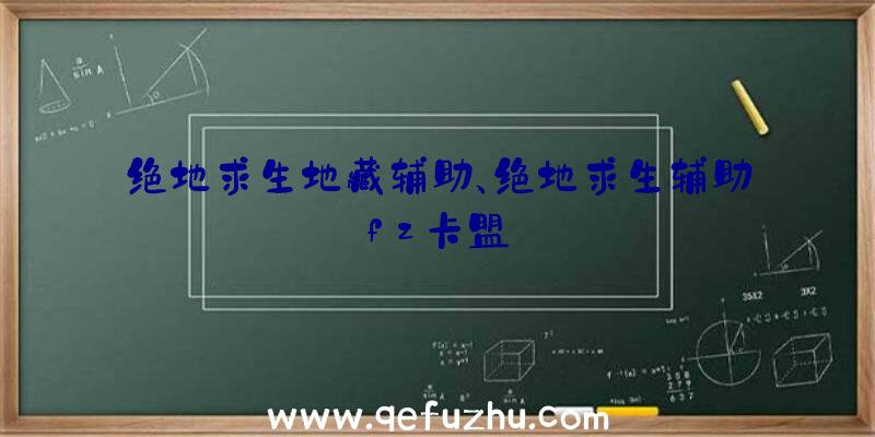 绝地求生地藏辅助、绝地求生辅助fz卡盟