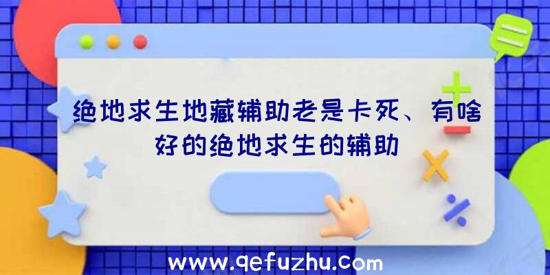 绝地求生地藏辅助老是卡死、有啥好的绝地求生的辅助