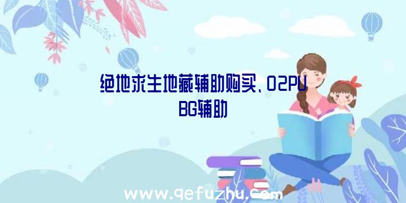 绝地求生地藏辅助购买、02PUBG辅助