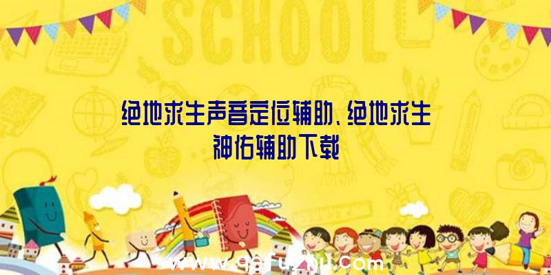 绝地求生声音定位辅助、绝地求生神佑辅助下载