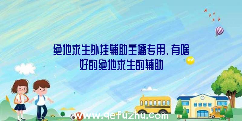 绝地求生外挂辅助主播专用、有啥好的绝地求生的辅助