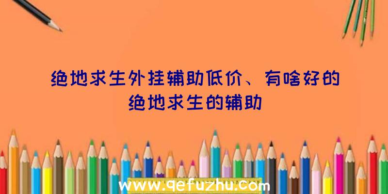 绝地求生外挂辅助低价、有啥好的绝地求生的辅助