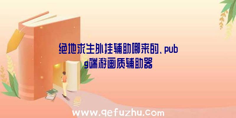 绝地求生外挂辅助哪来的、pubg端游画质辅助器