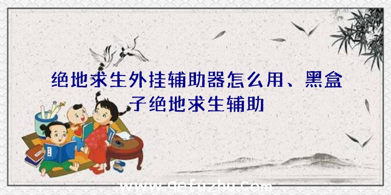 绝地求生外挂辅助器怎么用、黑盒子绝地求生辅助