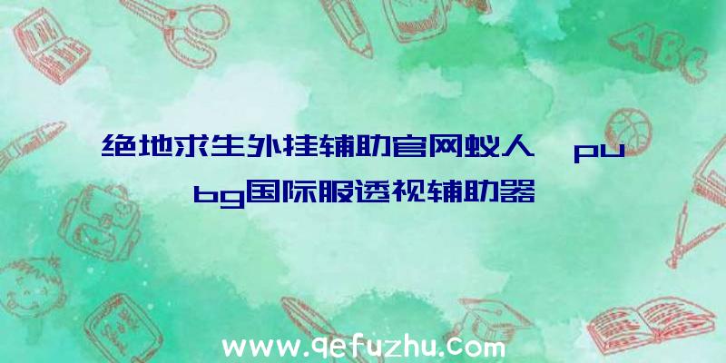 绝地求生外挂辅助官网蚁人、pubg国际服透视辅助器