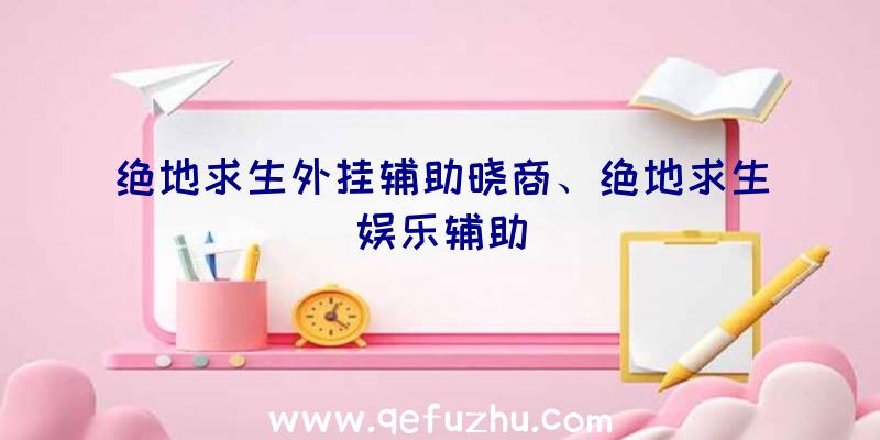 绝地求生外挂辅助晓商、绝地求生娱乐辅助