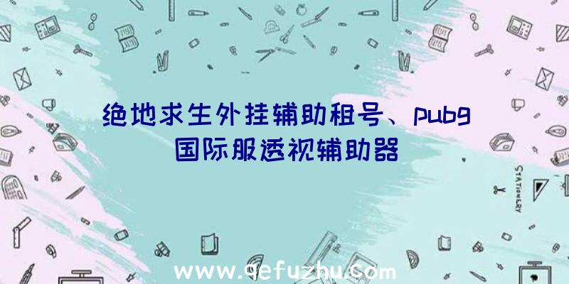 绝地求生外挂辅助租号、pubg国际服透视辅助器