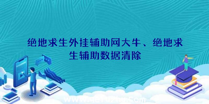 绝地求生外挂辅助网大牛、绝地求生辅助数据清除