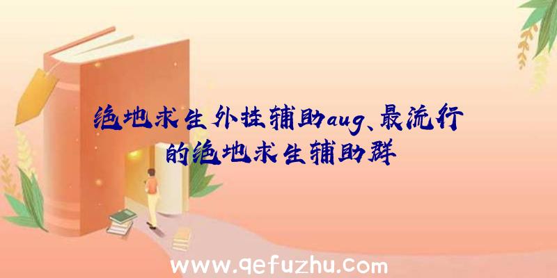 绝地求生外挂辅助aug、最流行的绝地求生辅助群