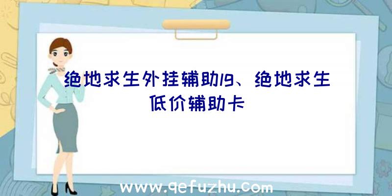 绝地求生外挂辅助lg、绝地求生低价辅助卡