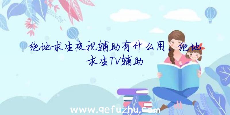 绝地求生夜视辅助有什么用、绝地求生TV辅助