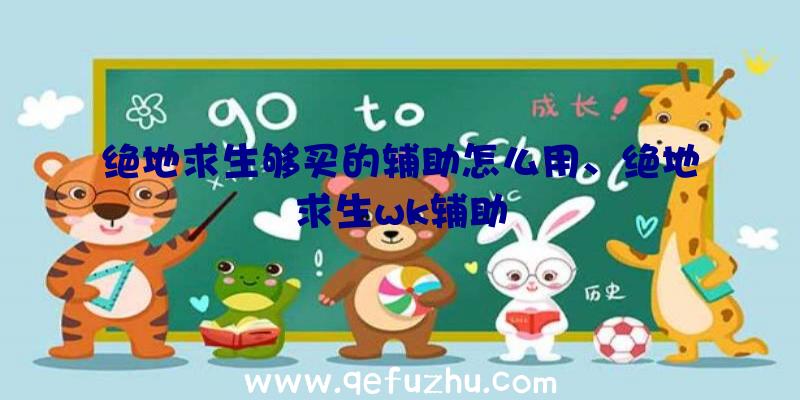 绝地求生够买的辅助怎么用、绝地求生wk辅助