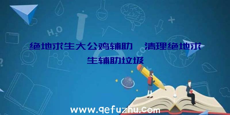 绝地求生大公鸡辅助、清理绝地求生辅助垃圾