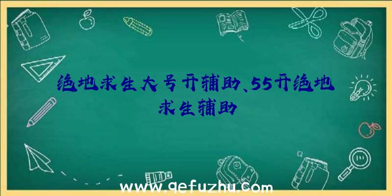 绝地求生大号开辅助、55开绝地求生辅助