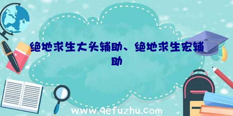 绝地求生大头辅助、绝地求生宏辅助