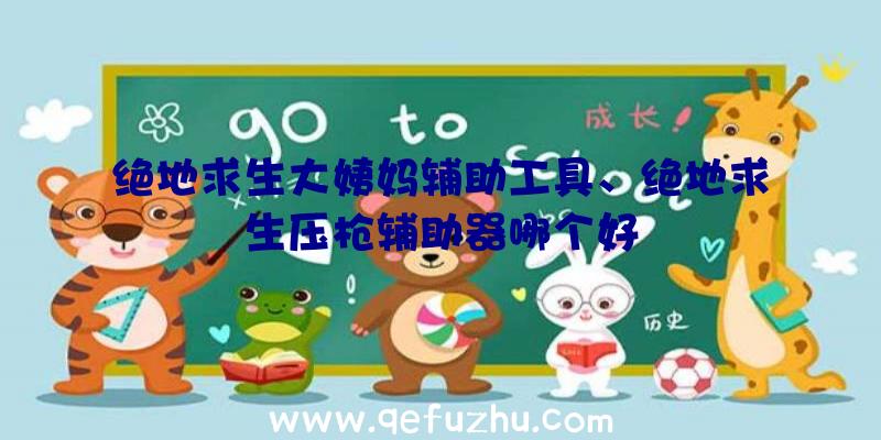 绝地求生大姨妈辅助工具、绝地求生压枪辅助器哪个好