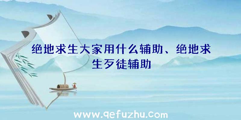 绝地求生大家用什么辅助、绝地求生歹徒辅助