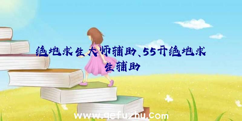 绝地求生大师辅助、55开绝地求生辅助